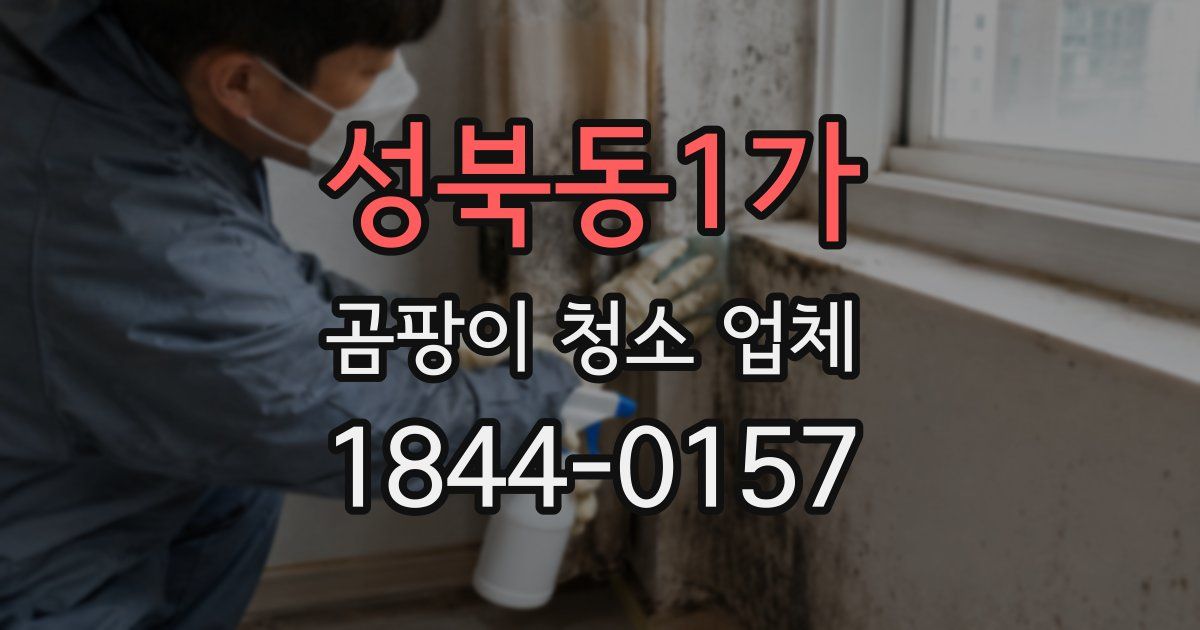 성북동1가 곰팡이 청소 업체