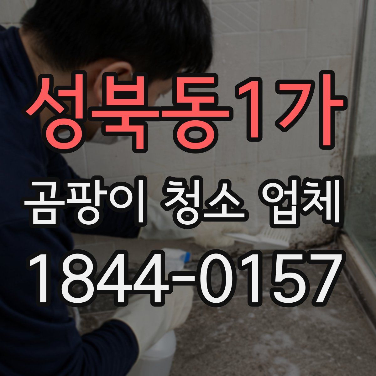 성북동1가 곰팡이 청소 업체