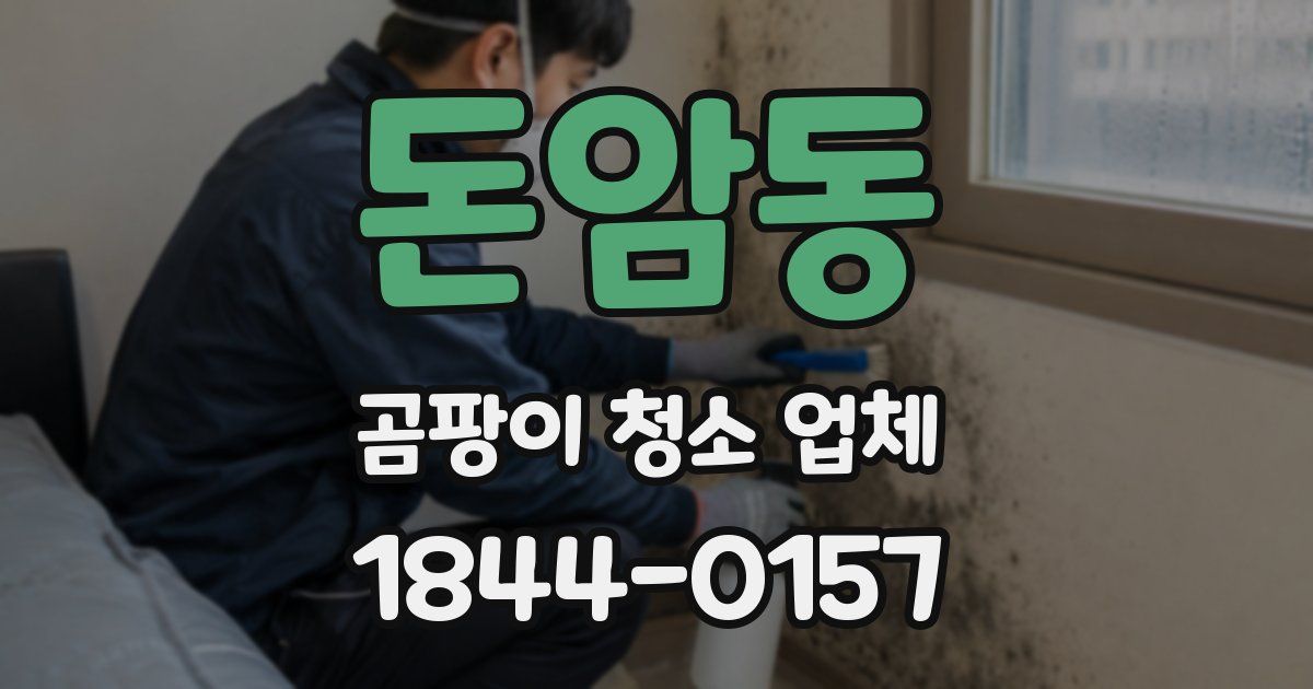 돈암동 곰팡이 청소 업체