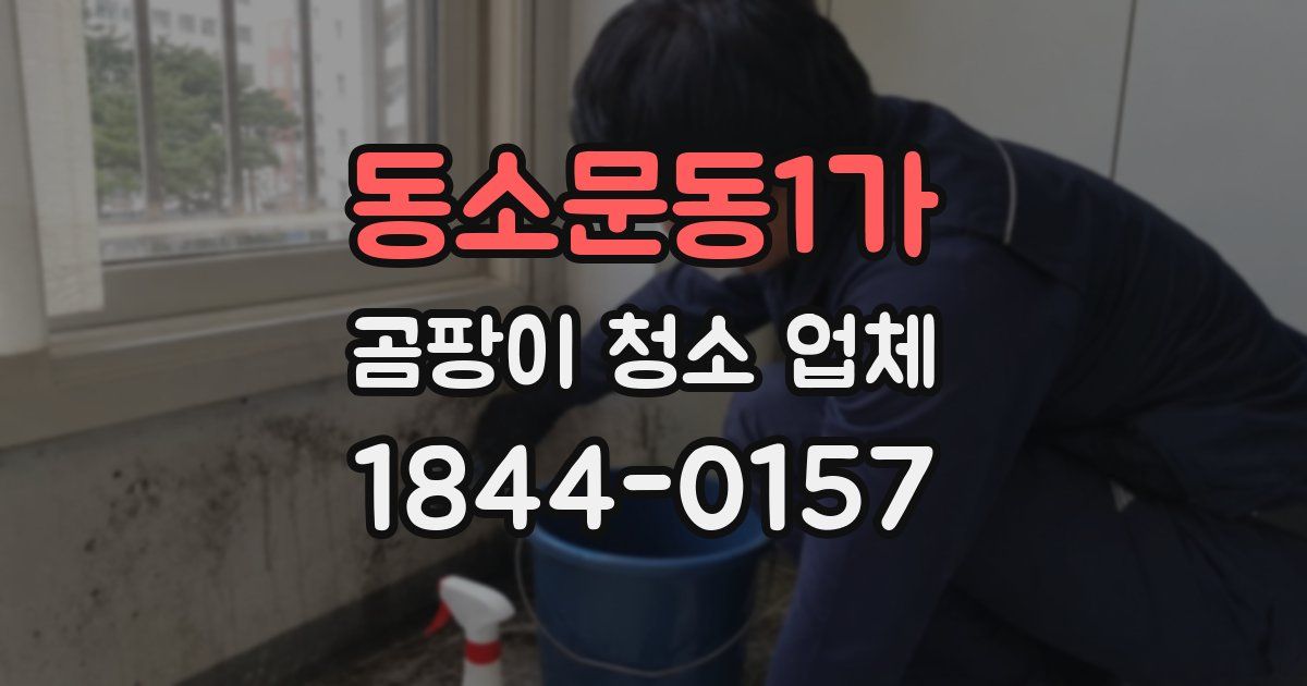동소문동1가 곰팡이 청소 업체