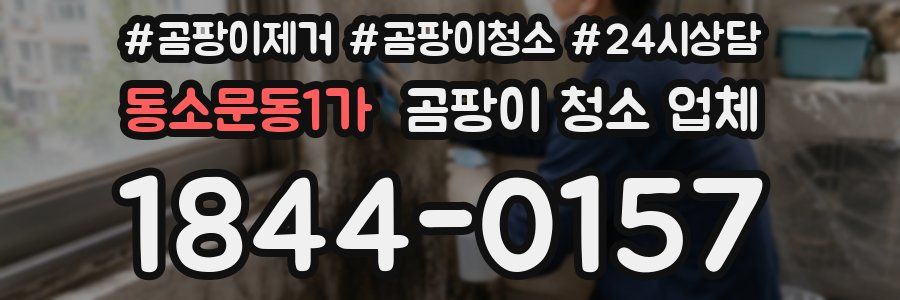 동소문동1가 곰팡이 청소 업체