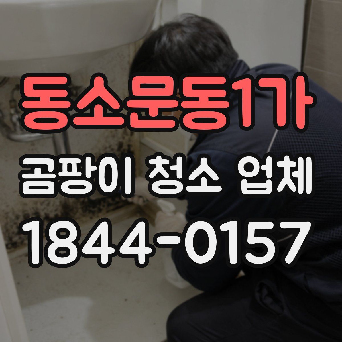 동소문동1가 곰팡이 청소 업체
