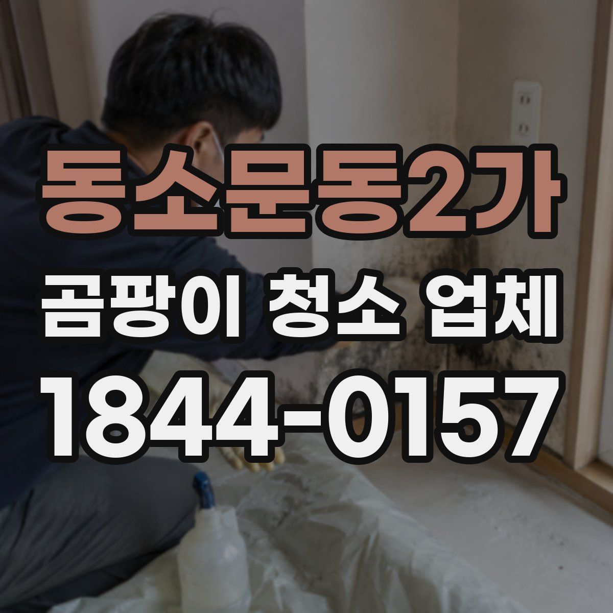 동소문동2가 곰팡이 청소 업체