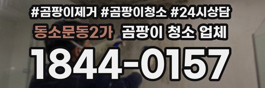 동소문동2가 곰팡이 청소 업체