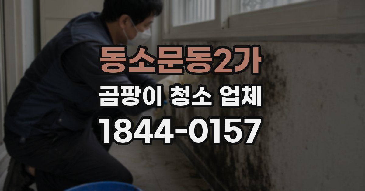 동소문동2가 곰팡이 청소 업체