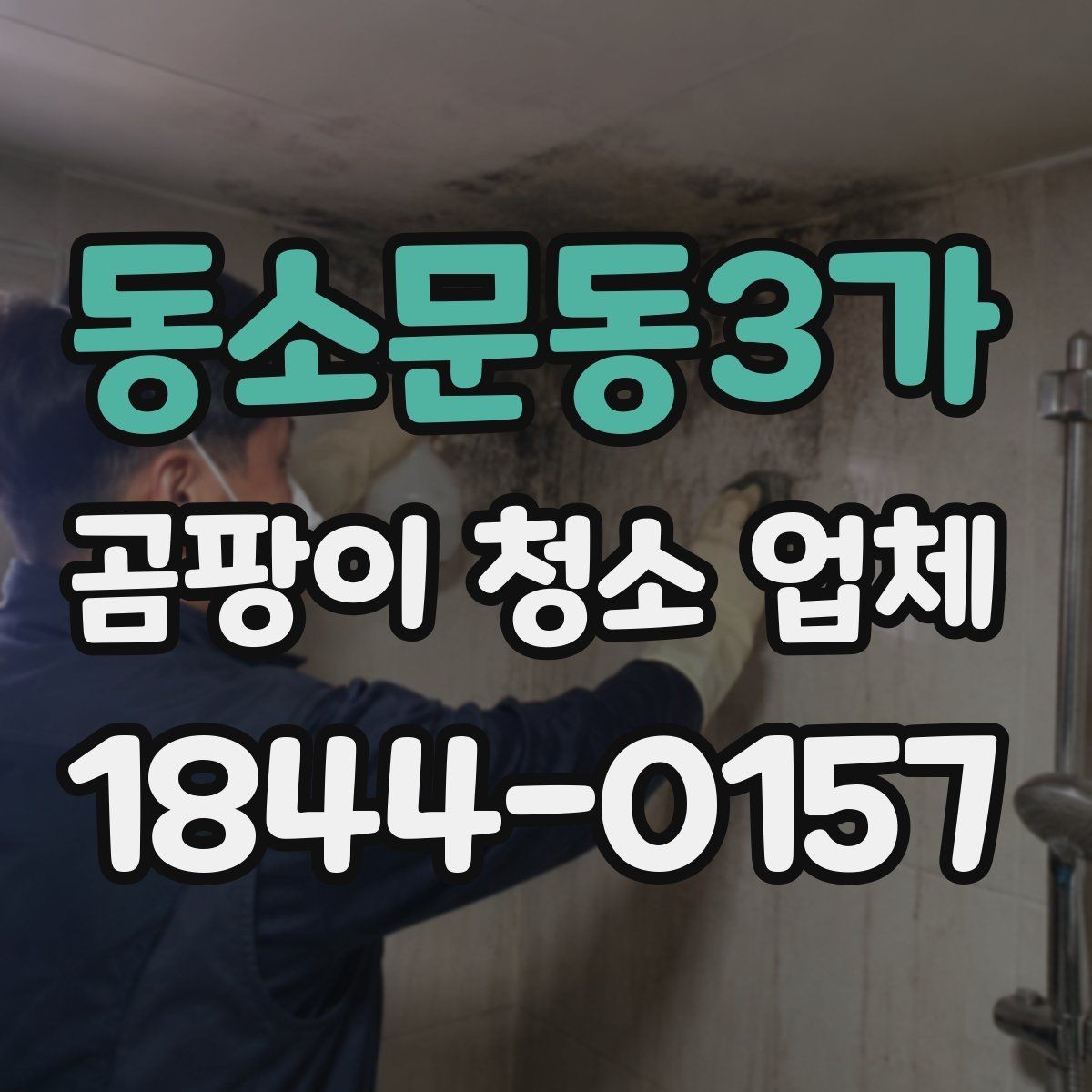 동소문동3가 곰팡이 청소 업체 벽 뒤 숨은 오염까지 확인하는 이유
