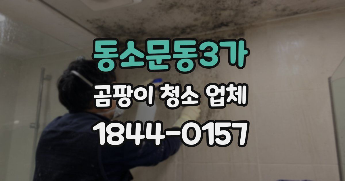 동소문동3가 곰팡이 청소 업체