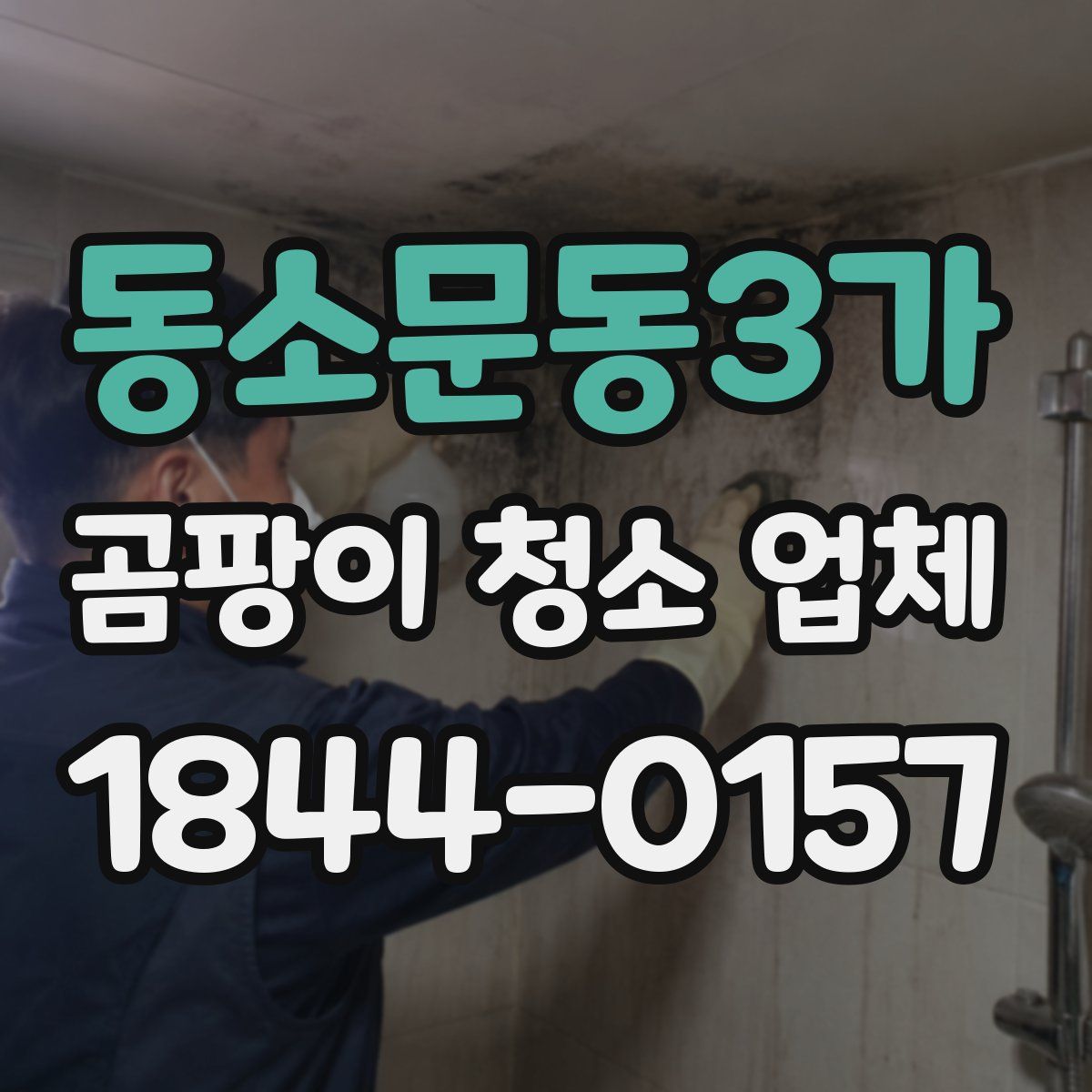 동소문동3가 곰팡이 청소 업체