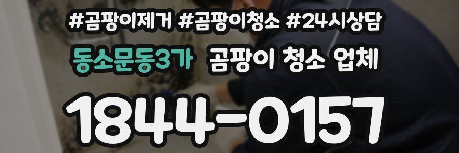 동소문동3가 곰팡이 청소 업체
