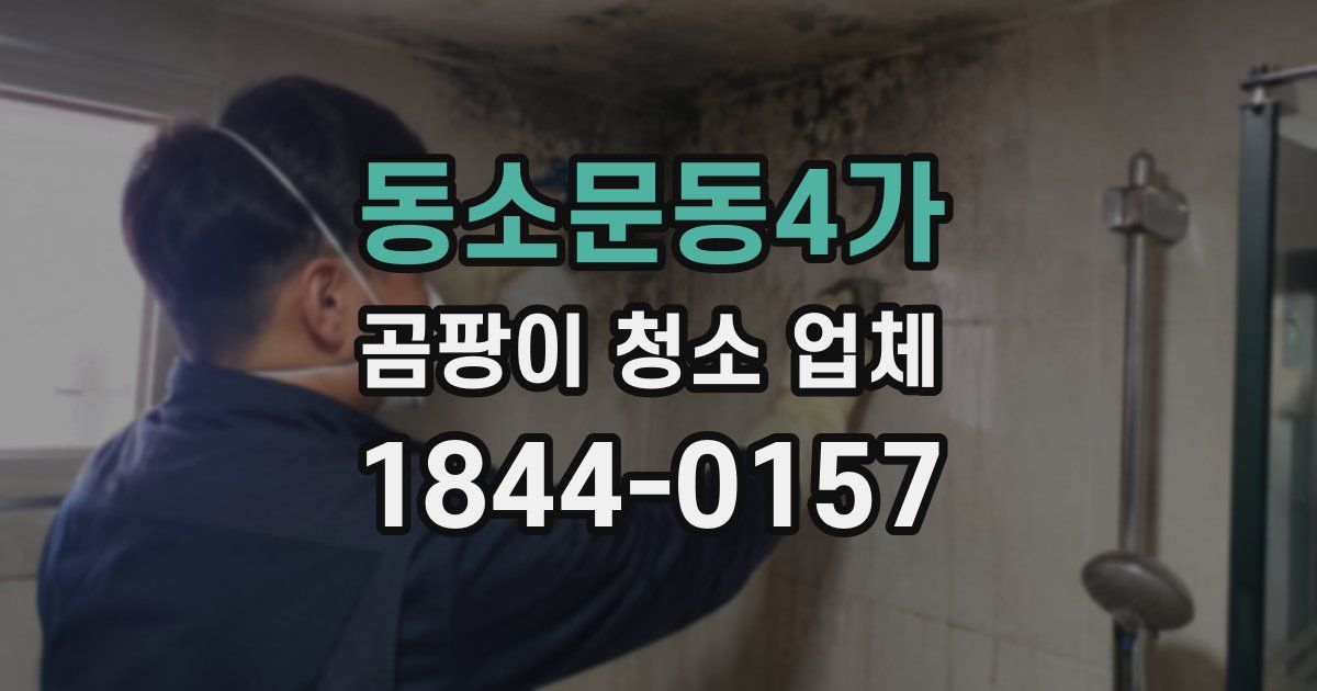 동소문동4가 곰팡이 청소 업체