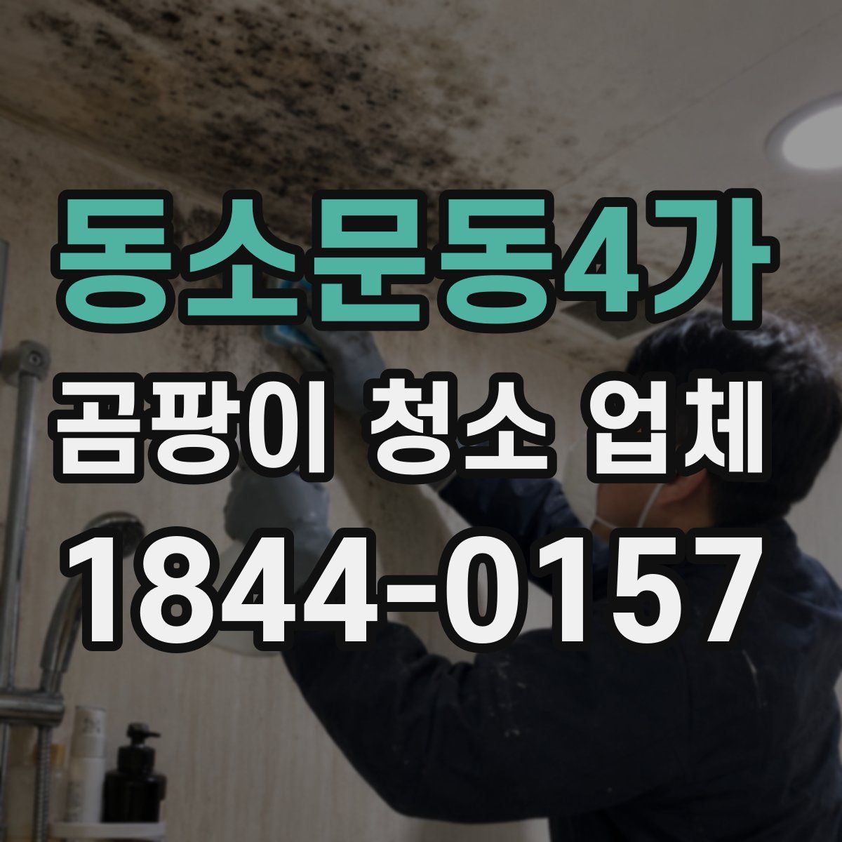 동소문동4가 곰팡이 청소 업체