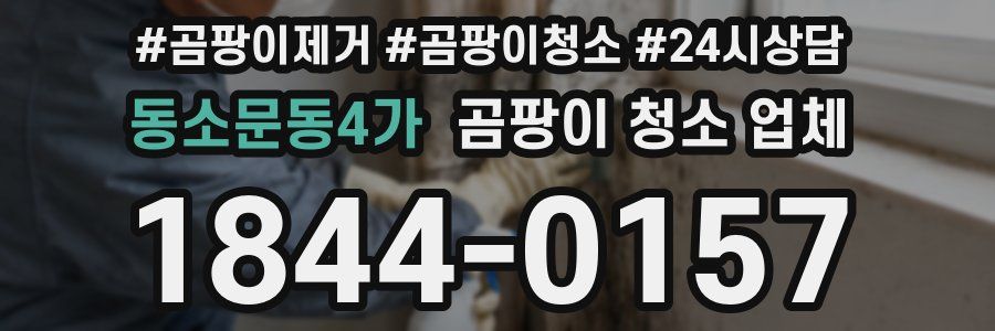 동소문동4가 곰팡이 청소 업체