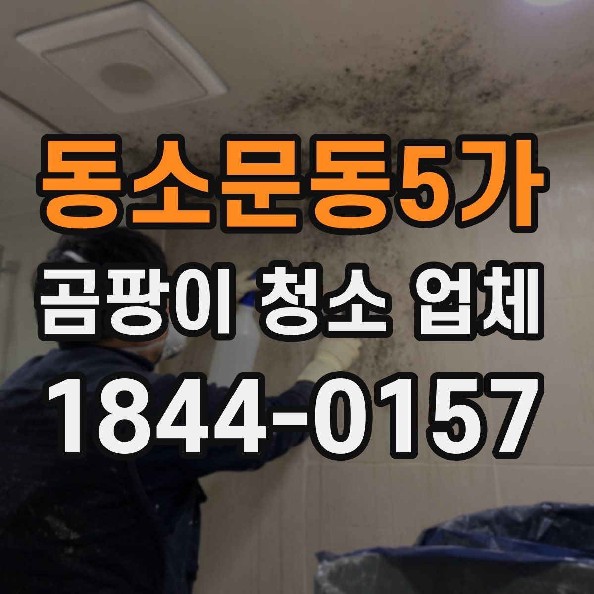 동소문동5가 곰팡이 청소 업체 견적에 포함되는 작업 범위 살펴보기