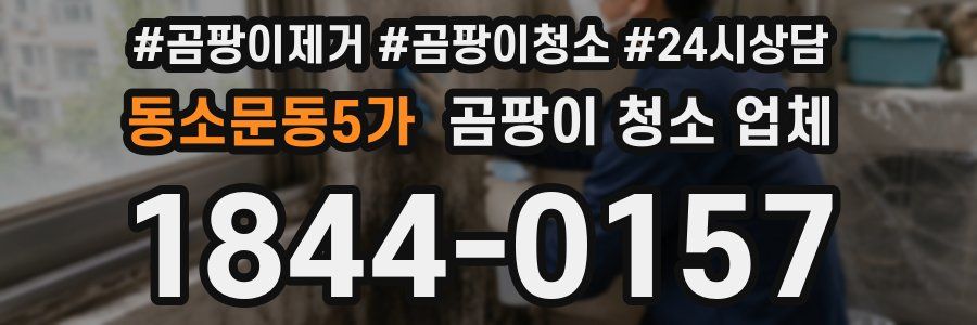 동소문동5가 곰팡이 청소 업체