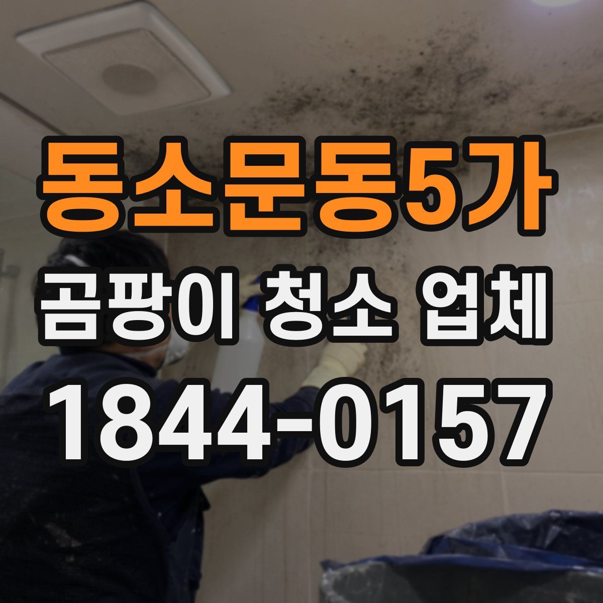 동소문동5가 곰팡이 청소 업체