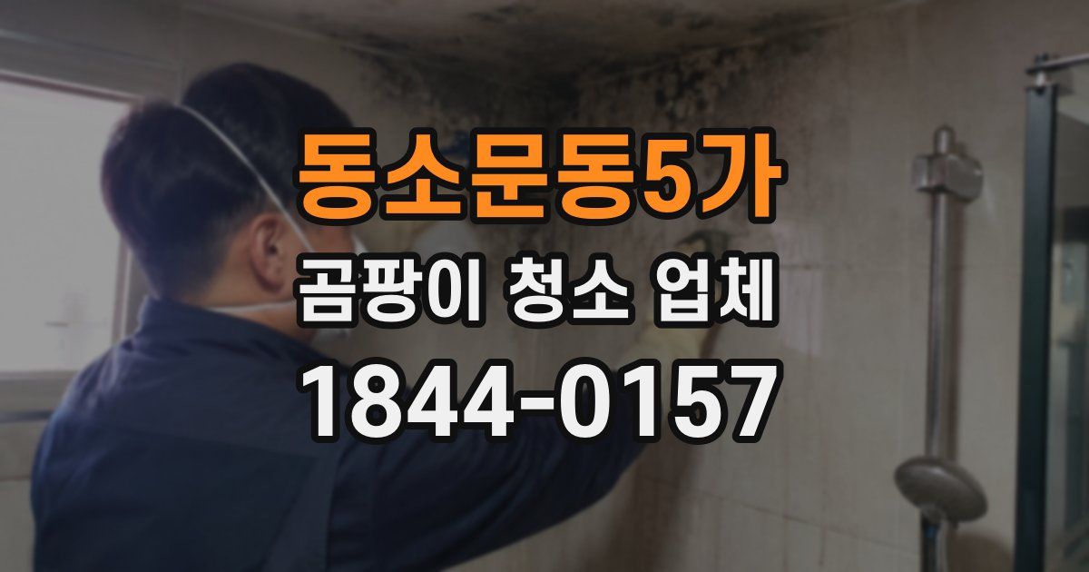 동소문동5가 곰팡이 청소 업체