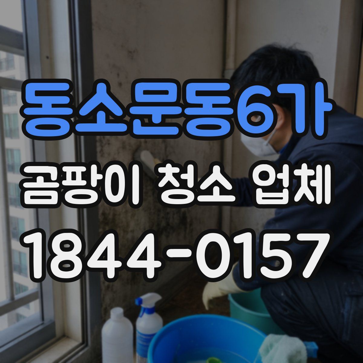 동소문동6가 곰팡이 청소 업체