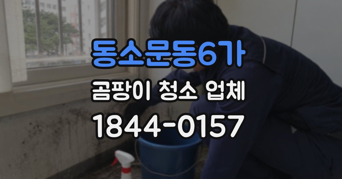 동소문동6가 곰팡이 청소 업체