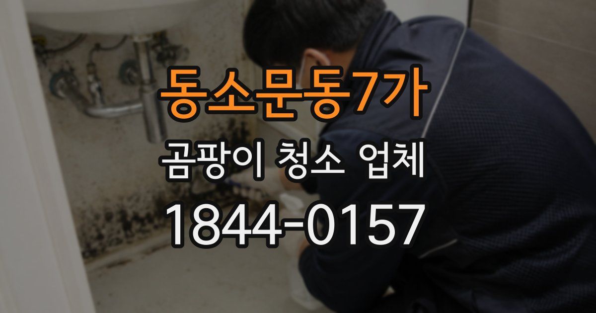 동소문동7가 곰팡이 청소 업체