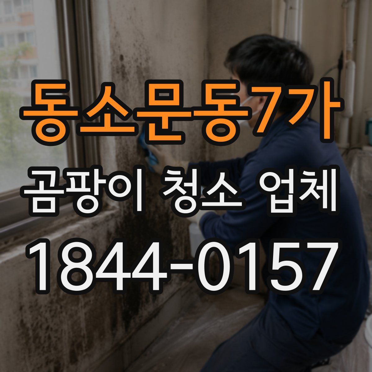 동소문동7가 곰팡이 청소 업체