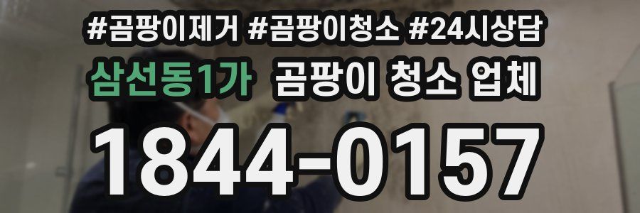 삼선동1가 곰팡이 청소 업체