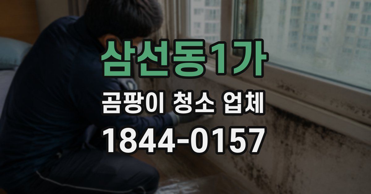 삼선동1가 곰팡이 청소 업체