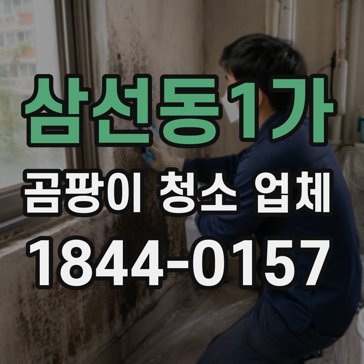 삼선동1가 곰팡이 청소 업체