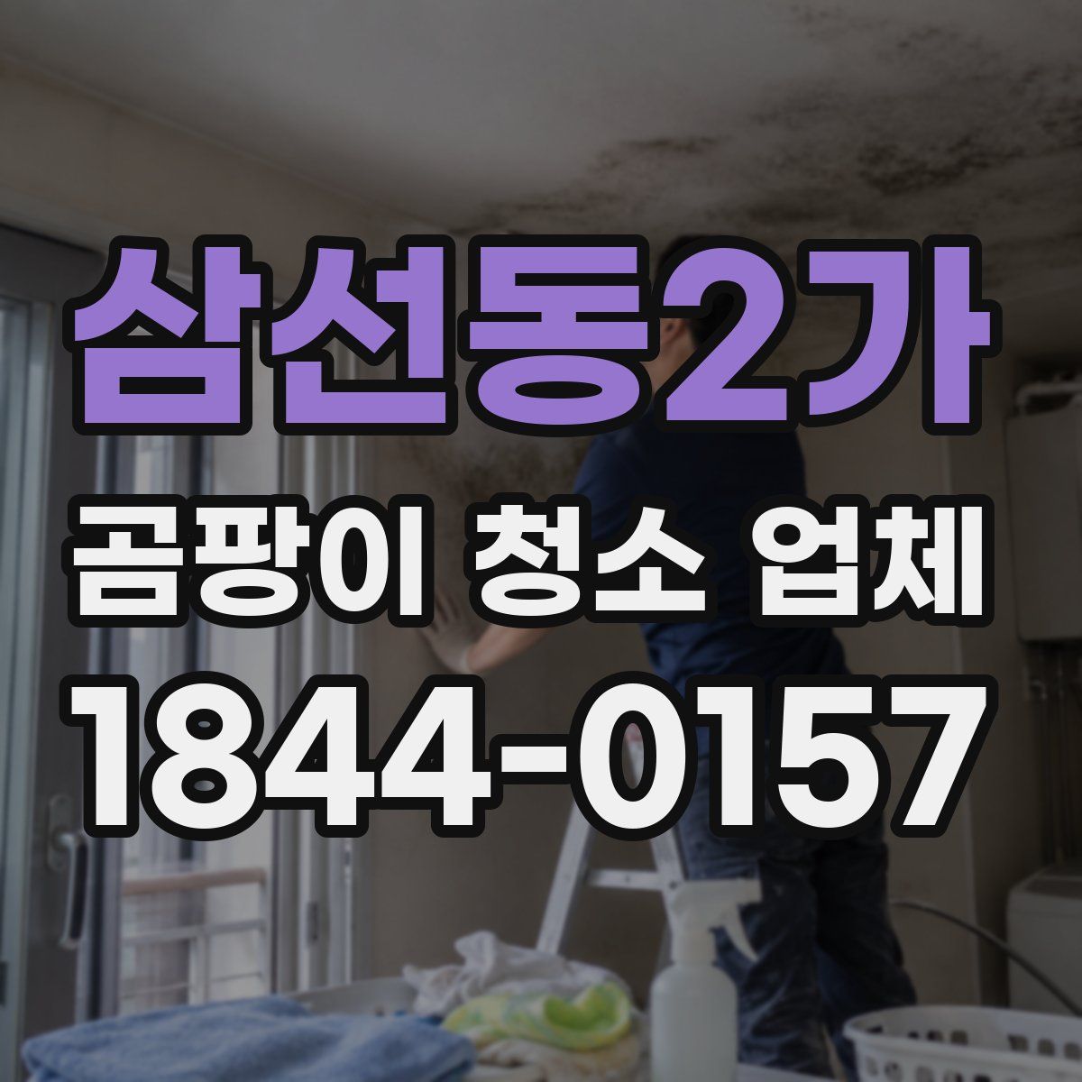 삼선동2가 곰팡이 청소 업체