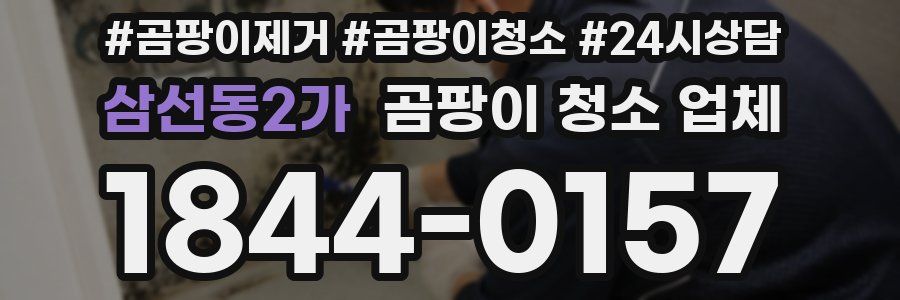 삼선동2가 곰팡이 청소 업체