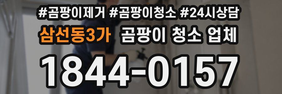 삼선동3가 곰팡이 청소 업체
