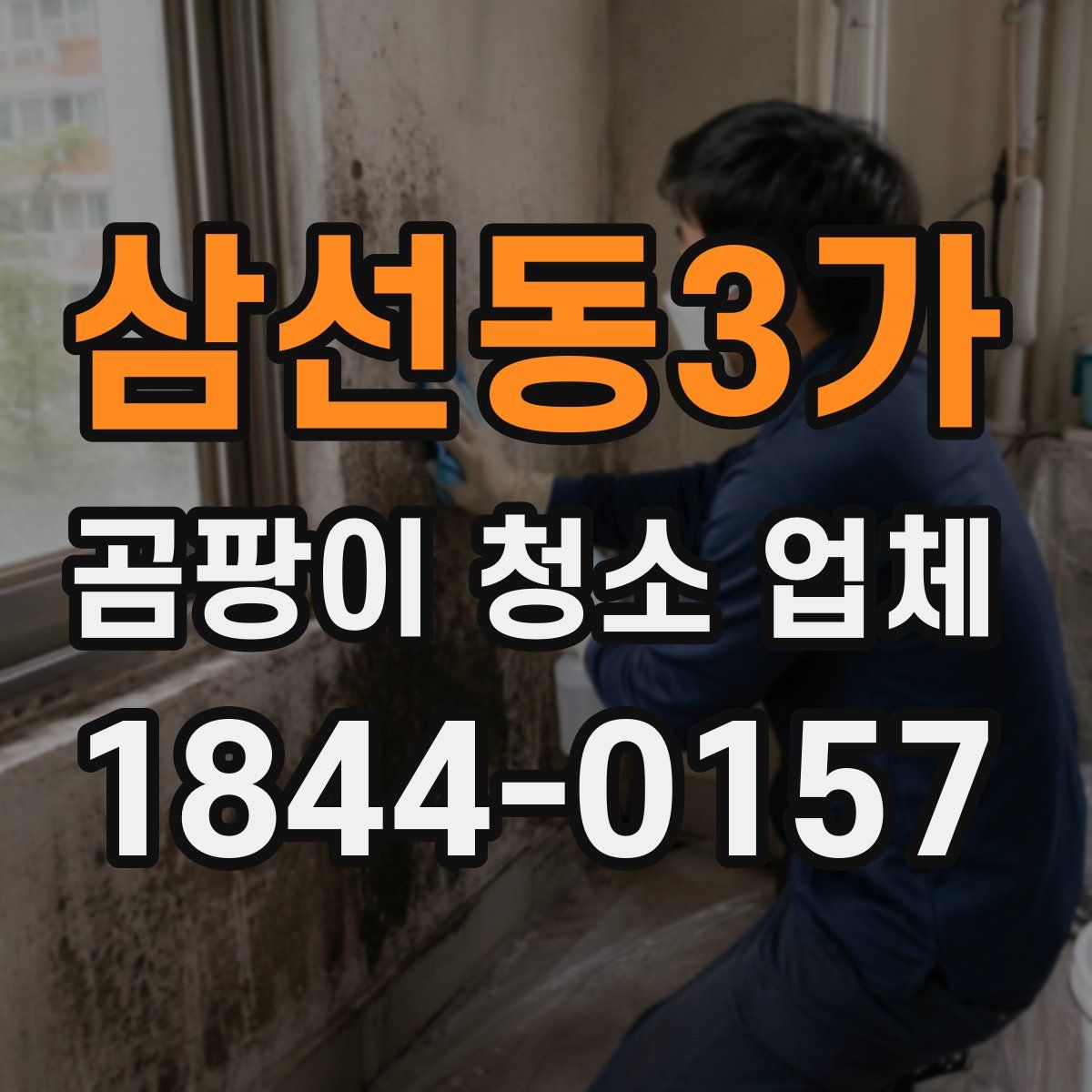 삼선동3가 곰팡이 청소 업체