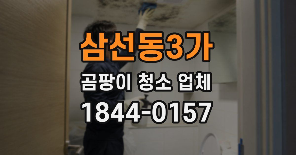 삼선동3가 곰팡이 청소 업체