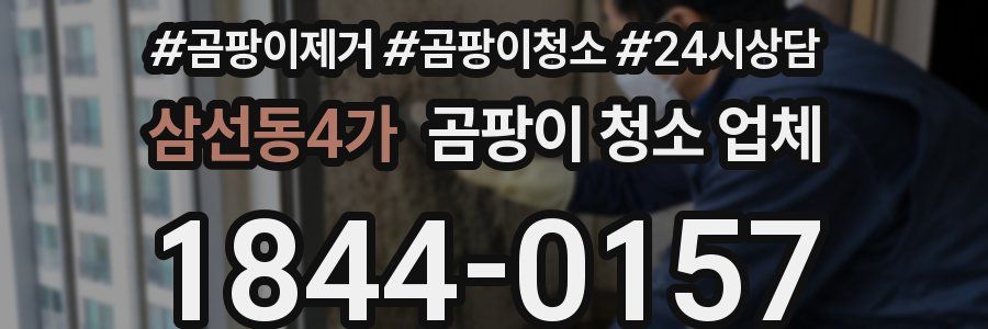 삼선동4가 곰팡이 청소 업체