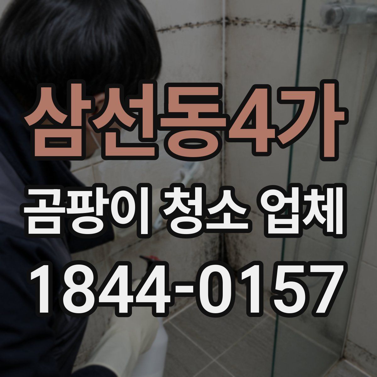 삼선동4가 곰팡이 청소 업체