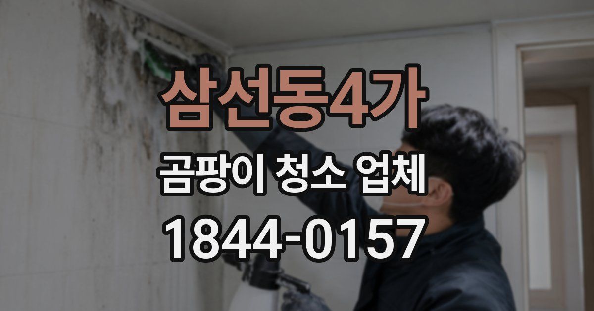 삼선동4가 곰팡이 청소 업체