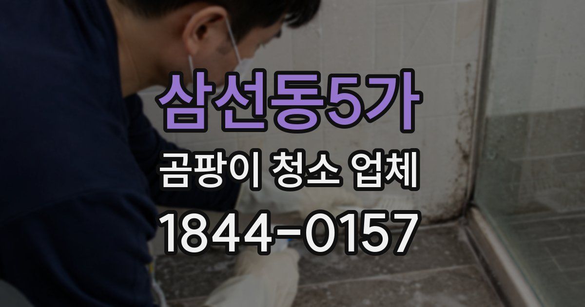 삼선동5가 곰팡이 청소 업체