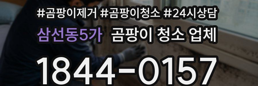 삼선동5가 곰팡이 청소 업체