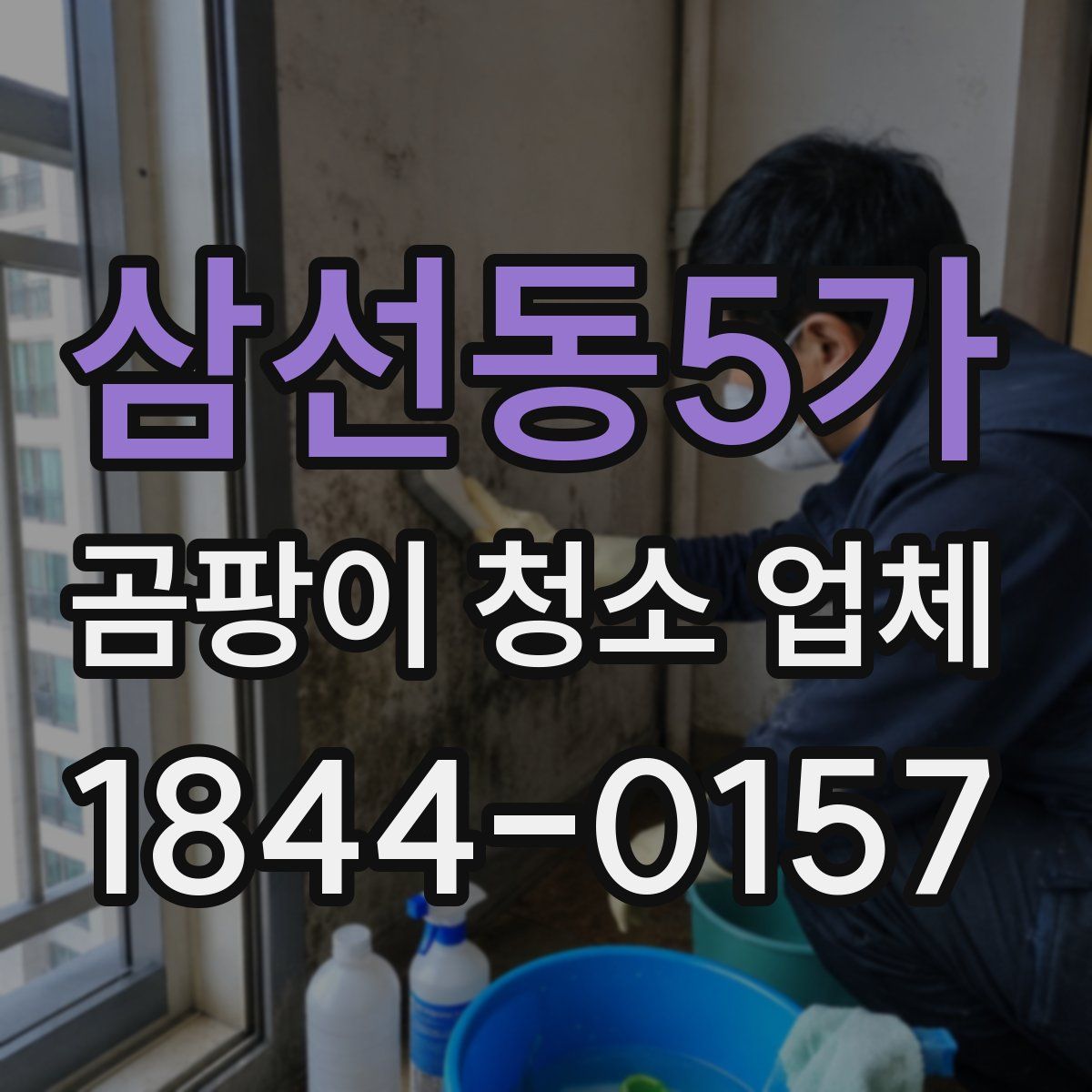 삼선동5가 곰팡이 청소 업체