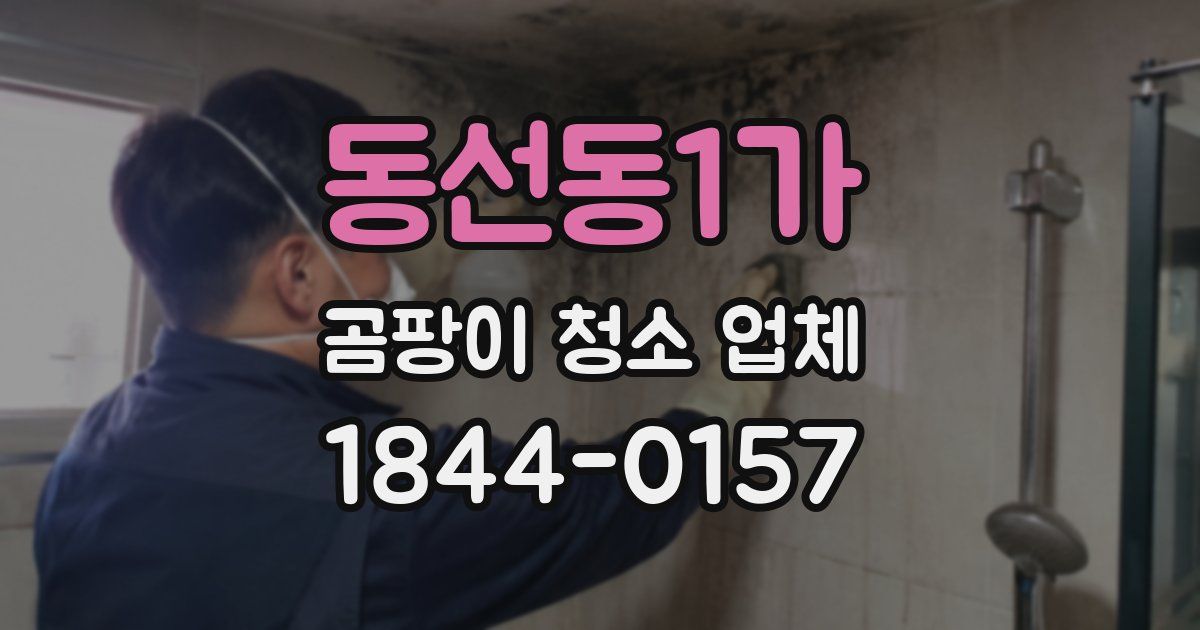 동선동1가 곰팡이 청소 업체