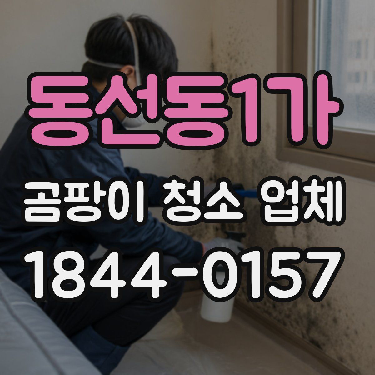 동선동1가 곰팡이 청소 업체