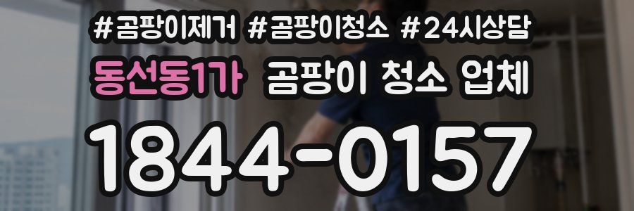 동선동1가 곰팡이 청소 업체