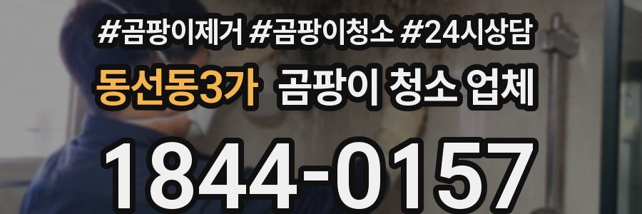 동선동3가 곰팡이 청소 업체