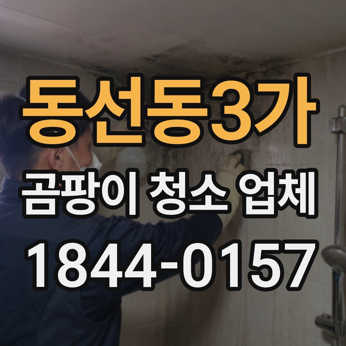 동선동3가 곰팡이 청소 업체