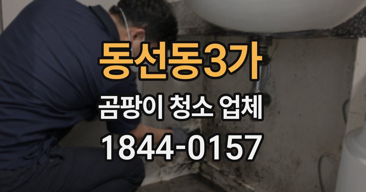 동선동3가 곰팡이 청소 업체