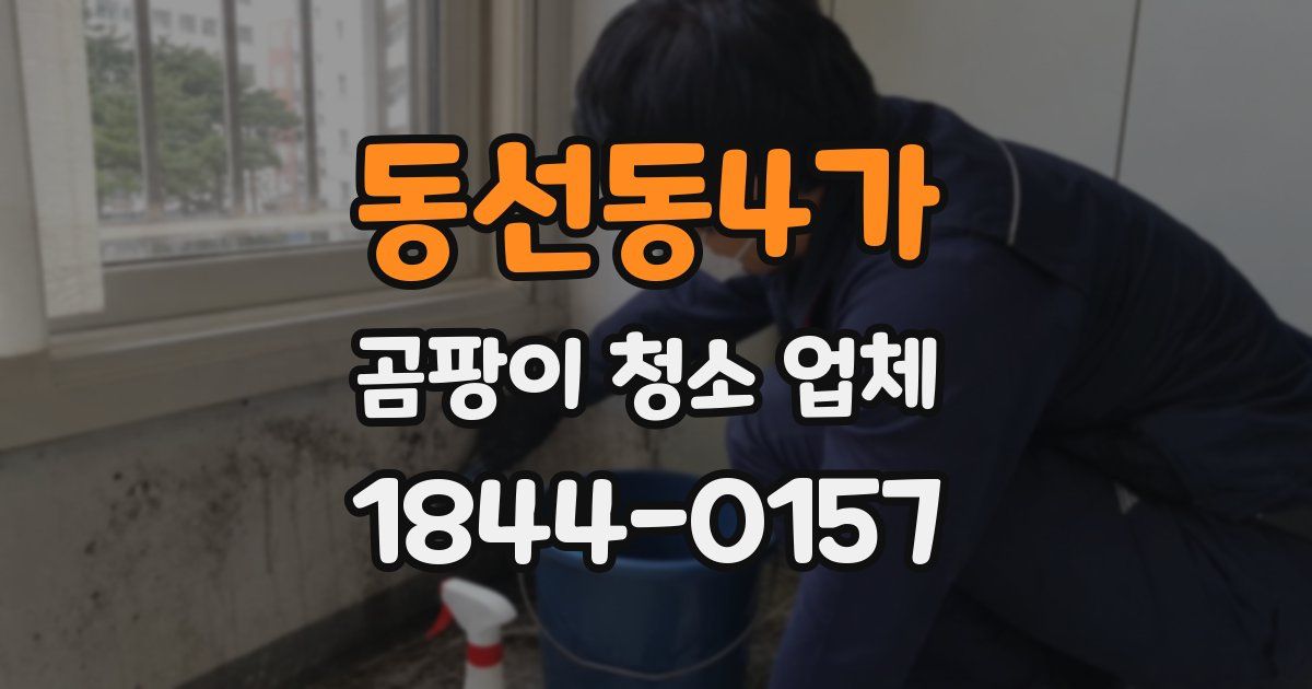 동선동4가 곰팡이 청소 업체