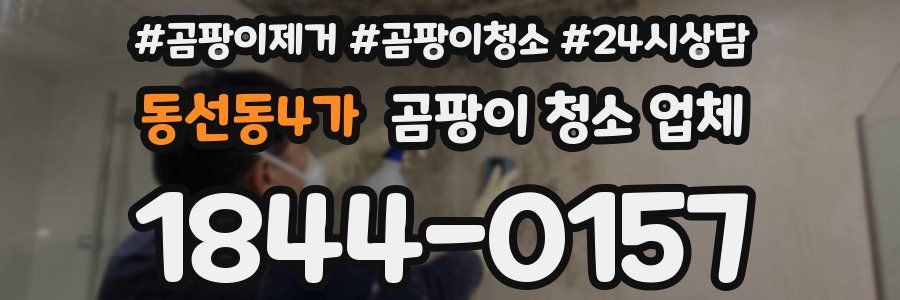 동선동4가 곰팡이 청소 업체