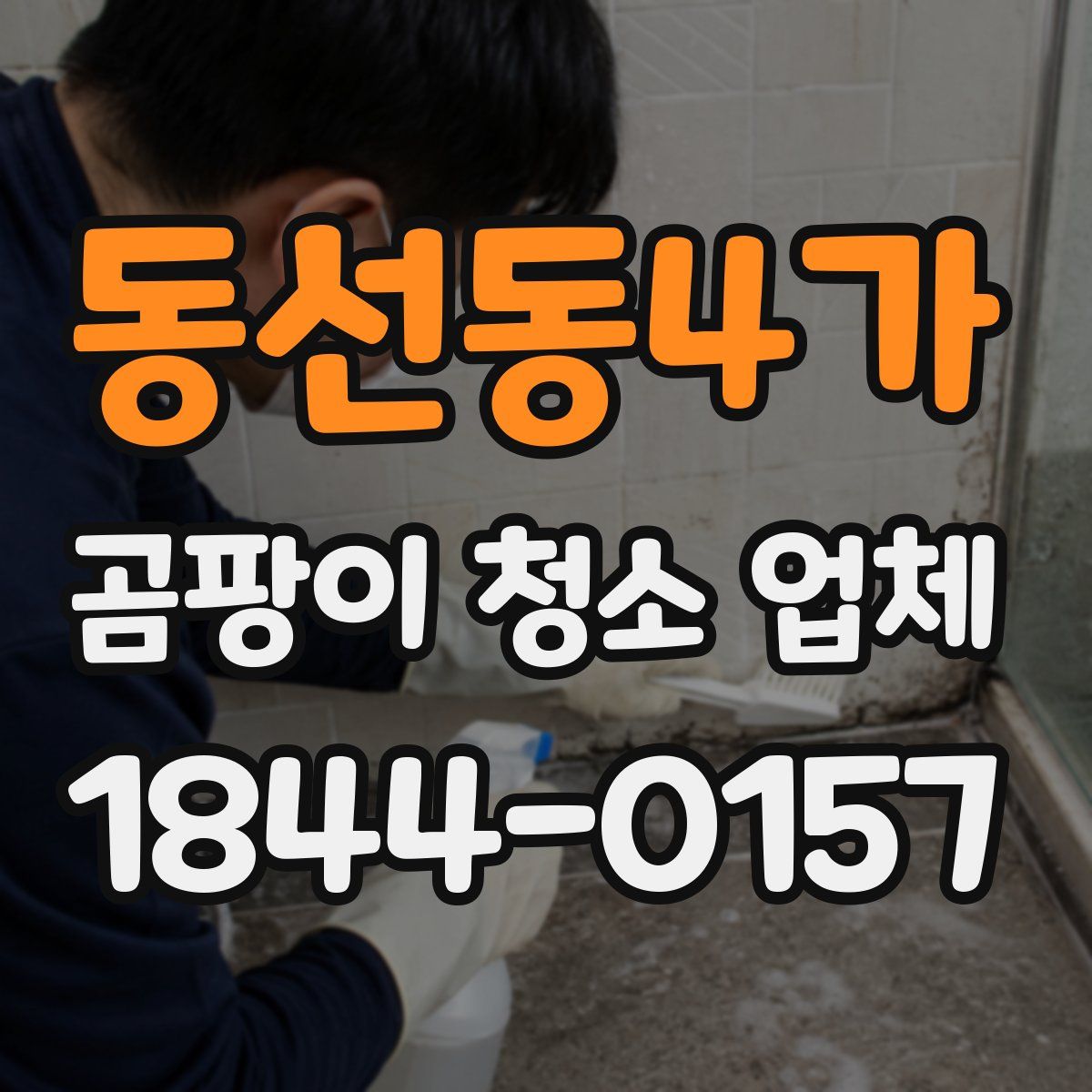 동선동4가 곰팡이 청소 업체