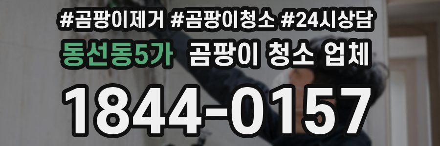 동선동5가 곰팡이 청소 업체