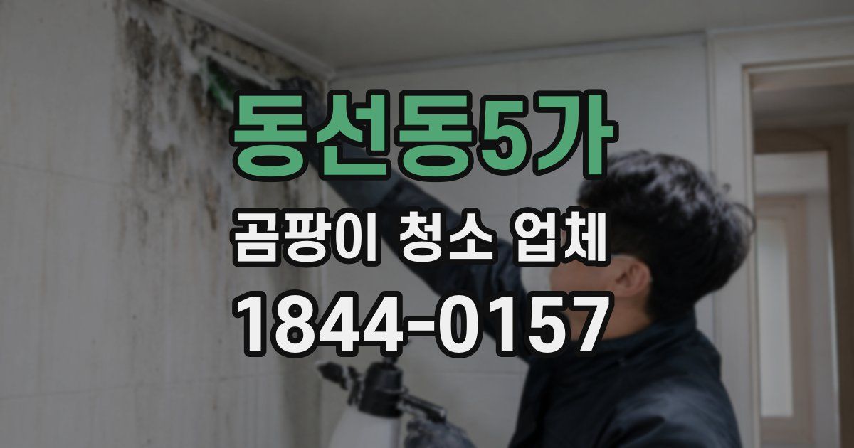 동선동5가 곰팡이 청소 업체