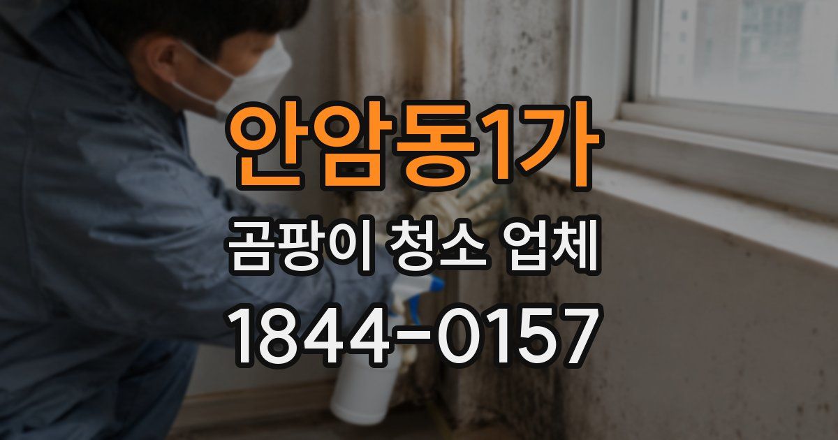 안암동1가 곰팡이 청소 업체